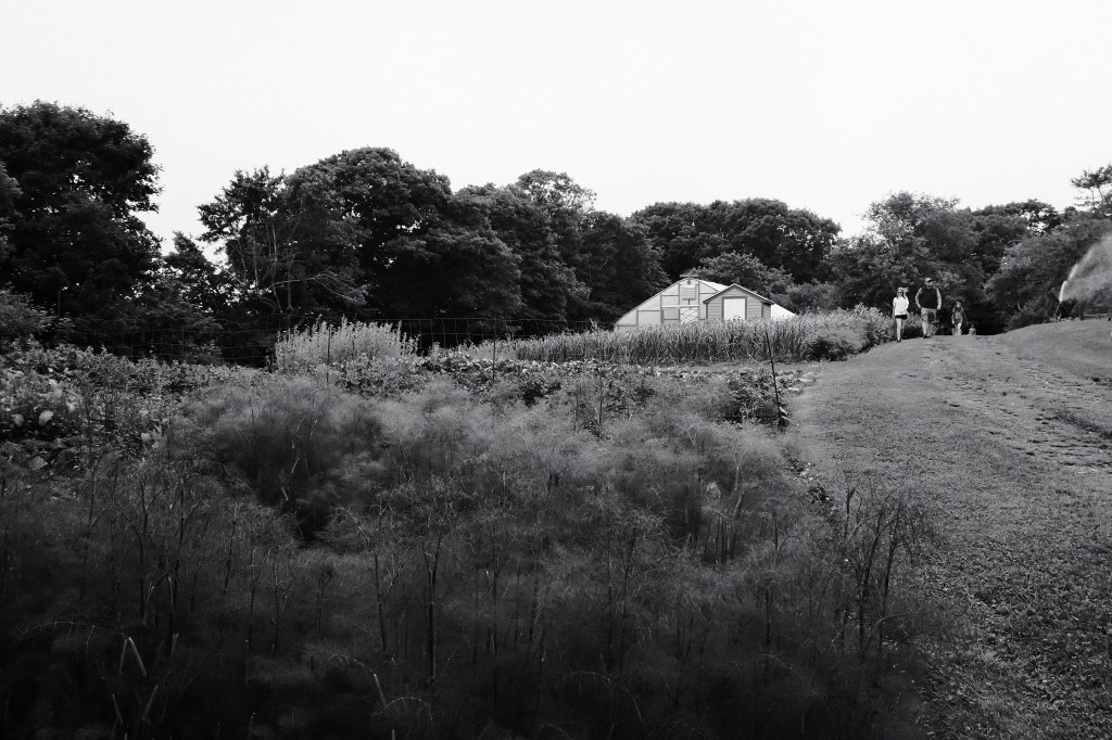 Sustainable Dining at Primo: A Farm Fresh&nbsp;Perspective